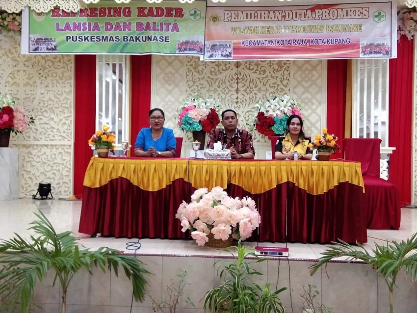 pembukaan kegiatan pemilihan duta promkes