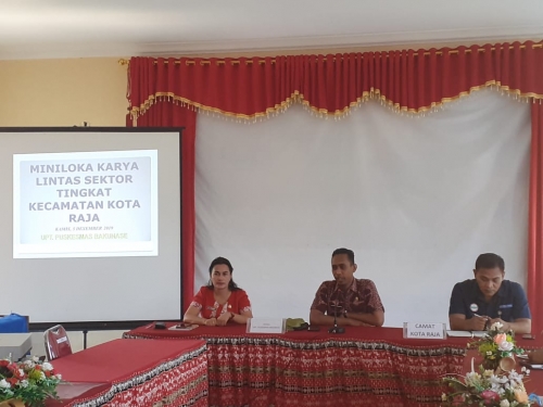 minilok lintas sektor